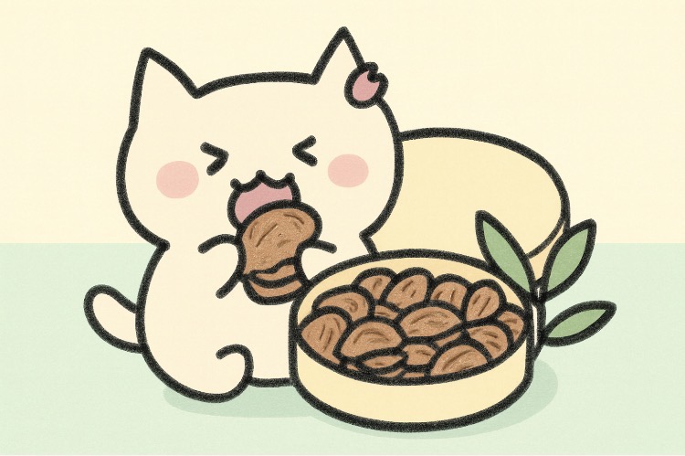 多度大社の見どころ・ご利益・アクセス完全ガイド｜上げ馬神事で有名な“北伊勢の聖地”を徹底紹介5