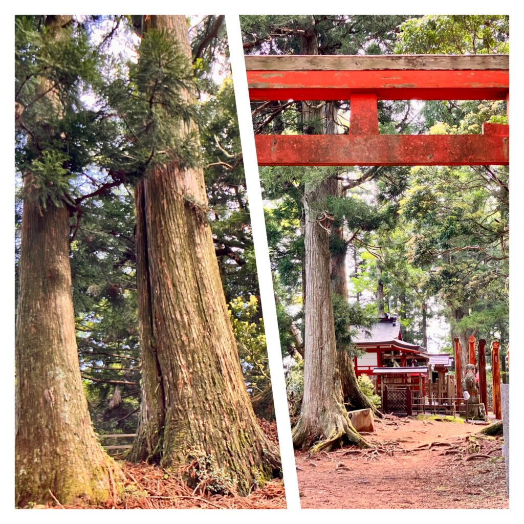 高野山の観光オススメスポットと体験25-嶽弁天2