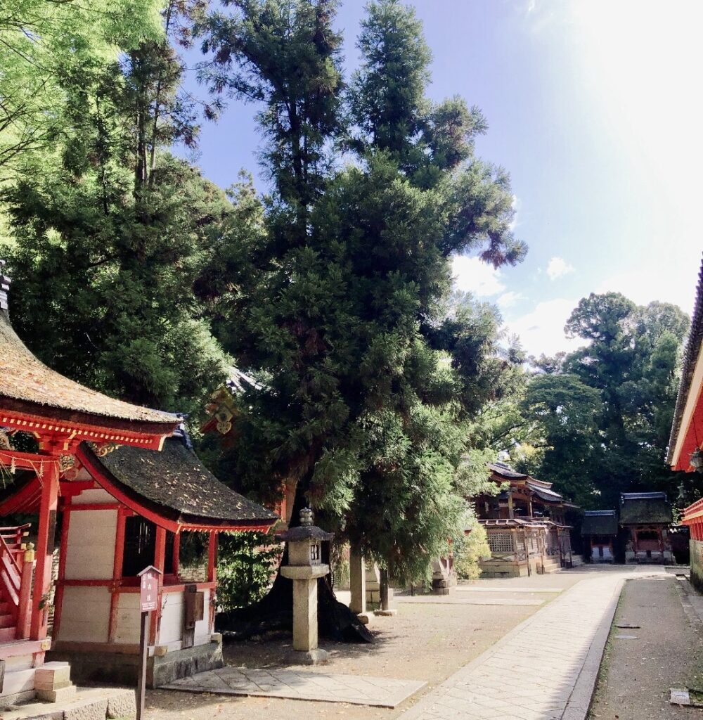 石清水八幡宮の見どころ〜「やわたの八幡さん」の名で親しまれる国宝の神社〜3