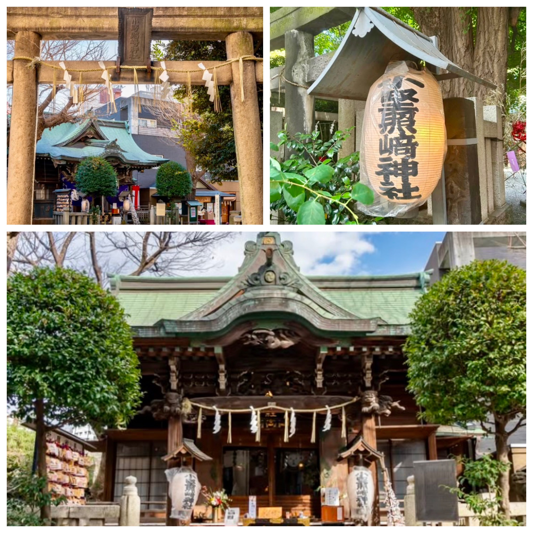 小野照崎神社（おのてるさきじんじゃ）〜おいなりさんで運だめし〜富士塚　庚申塚