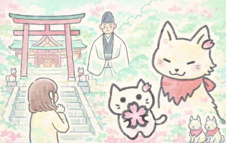 信長公と繋がれる唯一の場所とは?建勲神社と阿弥陀寺に隠された「気の正体」1