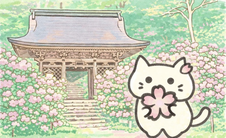 京都・志明院の完全ガイド|もののけ姫の聖地、鴨川源流の神秘と参拝の注意点2